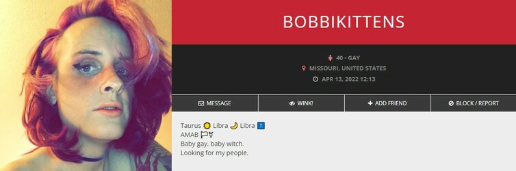 bobbikittens 1.jpg