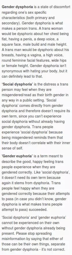 Screenshot-2017-12-29 Dysphoria Tumblr.png