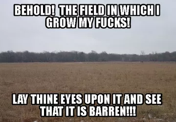 Field of Fucks.jpg