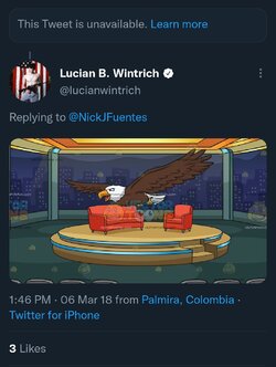 vdvzr0.jpg
