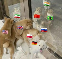 1659330305061145.jpeg