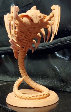 20220816_173604.jpg