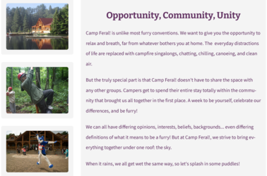 Screenshot 2022-08-25 at 01-36-43 Camp Feral! Furry Summer Camp since 1998.png