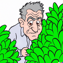 DALL·E 2022-08-29 19.30.35 - Old man hiding in a bush in the style of a Flash cartoon .png