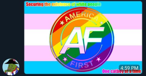 trans af flag post.jpg