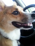 thumbnail_20160917_163220 - Copy.jpg