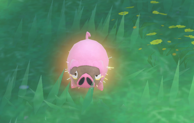 shiny lechonk.png