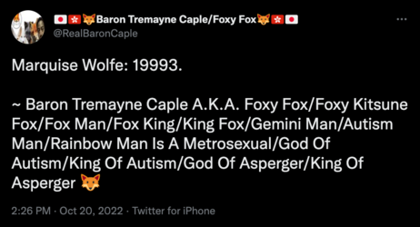 Screen Shot 2022-10-20 at 10.28.29 PM.png