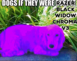 zl0raa071pd81.gif