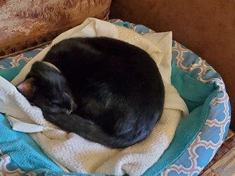 20221018_130728.jpg