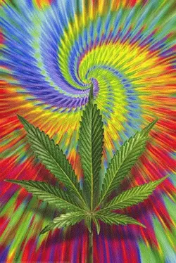 cannabis10rw3.gif