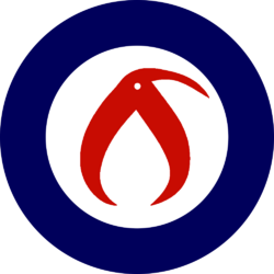 nzkiwi2.png