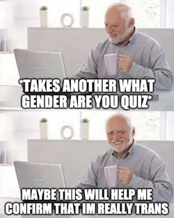 cje5cgpw18d71.png
