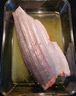 Trout.jpg