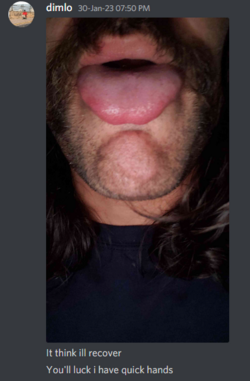 1675892723846.png