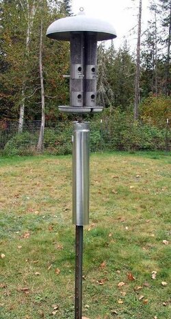 98327ea4d17e59fc20472dc987d527ed--squirrel-baffle-squirrel-proof-bird-feeders.jpg
