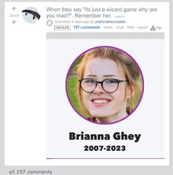 screencapture-old-reddit-r-Gamingcirclejerk-comments-112lc0h-when-they-say-its-just-a-wizard-g...jpg