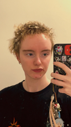 1678289913590.png