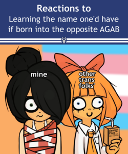 troonzellig 2.png