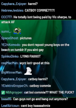 groypers don't know who catboy kami is.png