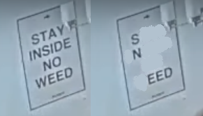 sneed1.png