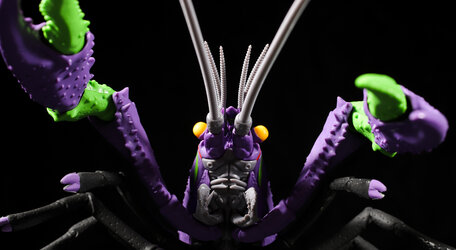 crawdum-20.jpg