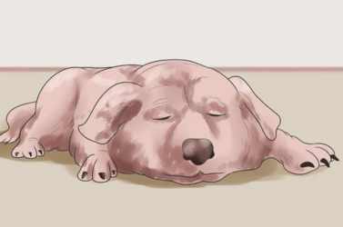 tumblr_5f39d9ec32ec04bff671ecaa67e83977_8f36bb85_1280.png