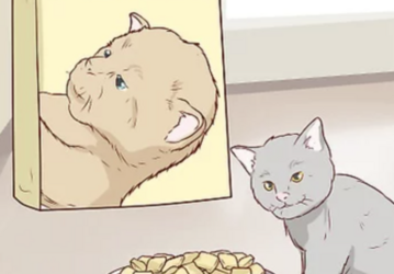 tumblr_0e80efe1566b01352972ccd747f493af_ba77d964_1280.png
