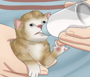 tumblr_c42d6627c7d0c974d2315db717d5fe93_d155bf30_1280.png