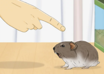 tumblr_6498404219674919bac2e4c203c9550e_6c21c2dd_1280.png