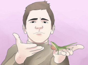 tumblr_7413c6bf41e7a7fcfcb38cab22e751d7_e64c631f_1280.png