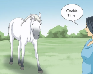 tumblr_5aac50936d8bee05299d7c56e46b639c_7178a86d_1280.png