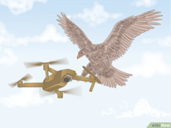 tumblr_50e284c88c6edd1e976687035cfa14c7_ea6b64ae_1280.png