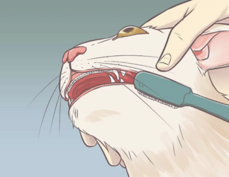 tumblr_8119e86a984e7796735605b6539402b0_b8b7ae4f_1280.png