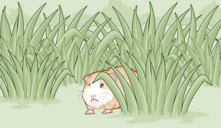 tumblr_e4d01ef083948a0bb78d46db54c4be4c_318a6b66_1280.png