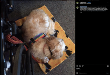 Screen_Shot_2023-06-15_at_5.01.28_PM.png
