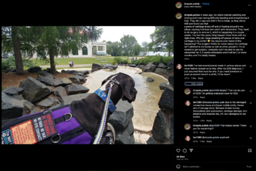 Screenshot_2023-06-17_at_11.21.13_PM.png