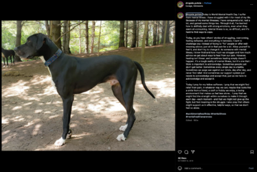 Screenshot_2023-06-17_at_11.59.53_PM.png
