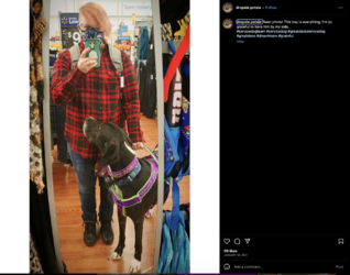 Screenshot_2023-06-18_at_12.53.23_AM.png