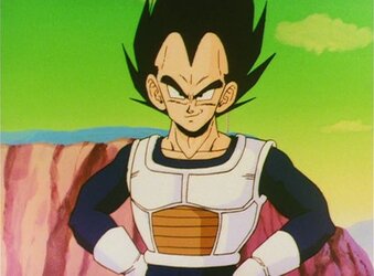 vegeta.jpeg