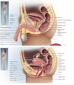 main-qimg-a18e0faf6f4be3454f633664d71d6183.png
