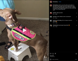 sams-404.png