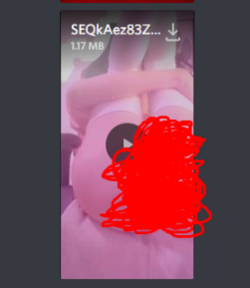 6e87ef9d66437ada26de49d865056c5bb6ac59d8.png