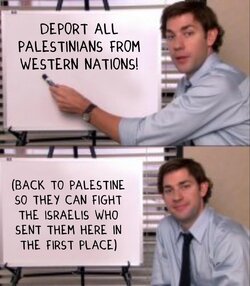 jim palestine.jpg