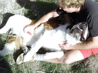 364cbbb460af5993284446d81abd17e81170e6c5.jpg