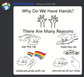 rats.png