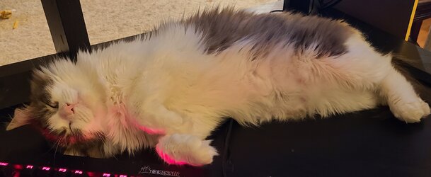 20230906_021205.jpg