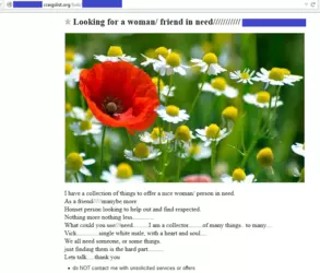 craigslist1.png