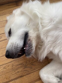 IMG_7088.jpeg