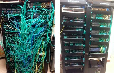 slob's brain vs normal brain.jpg